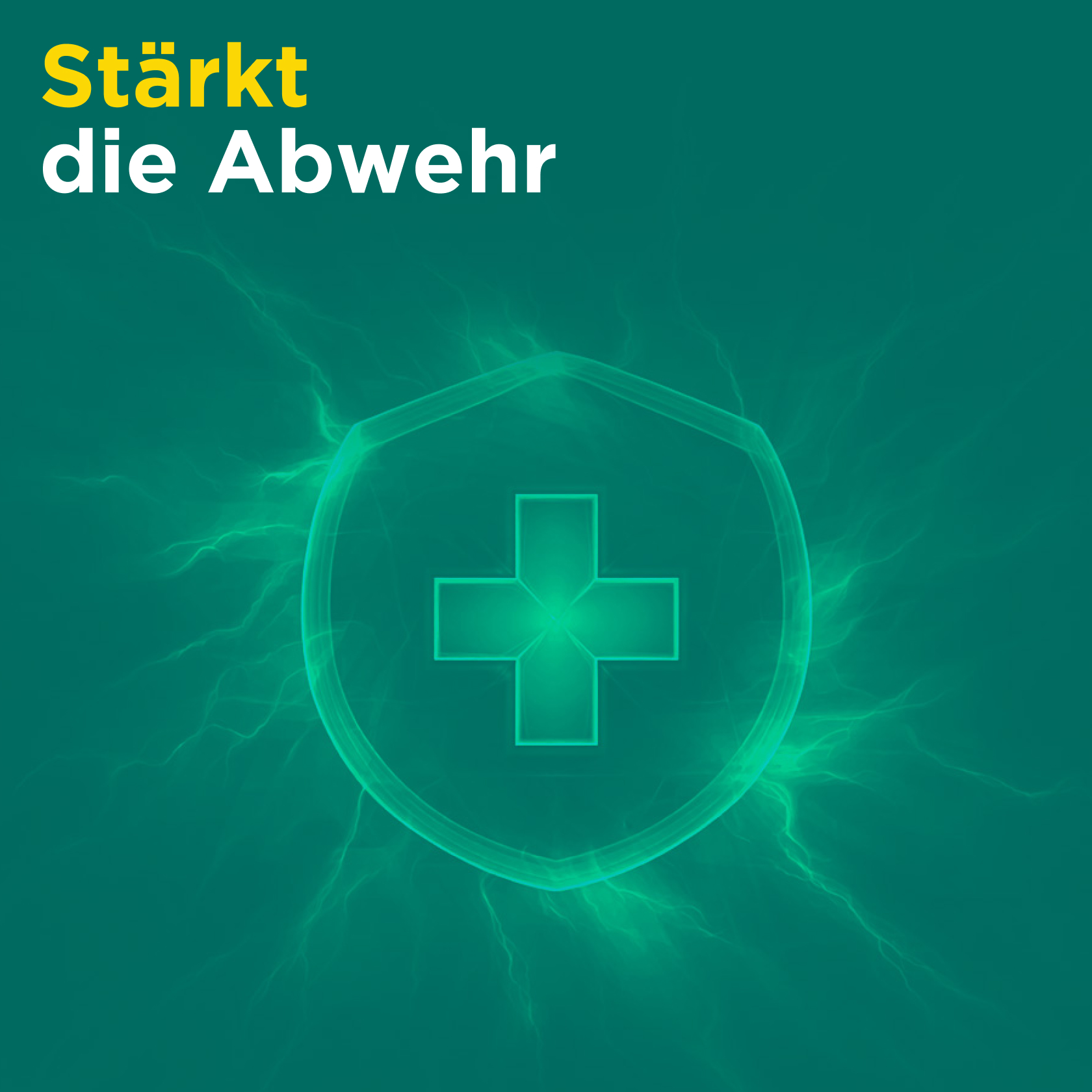 Produktvorschaubild